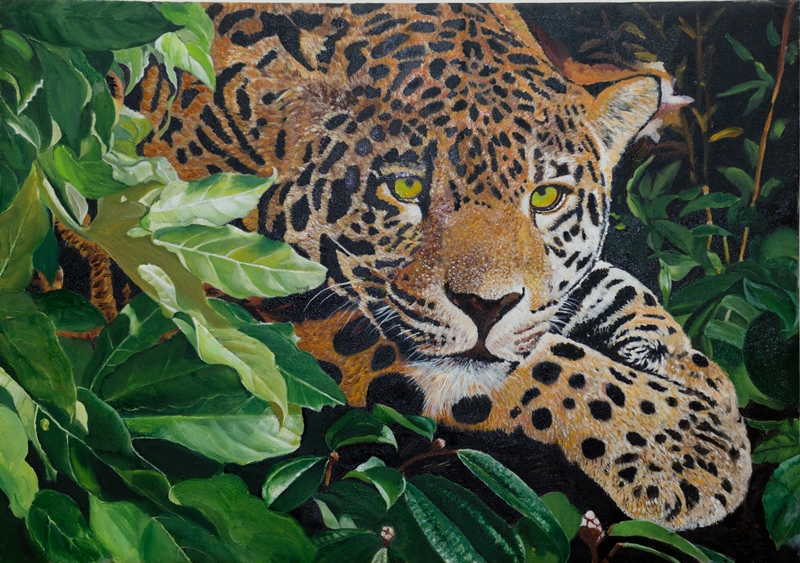 Tranh Sơn Dầu Rình Rập